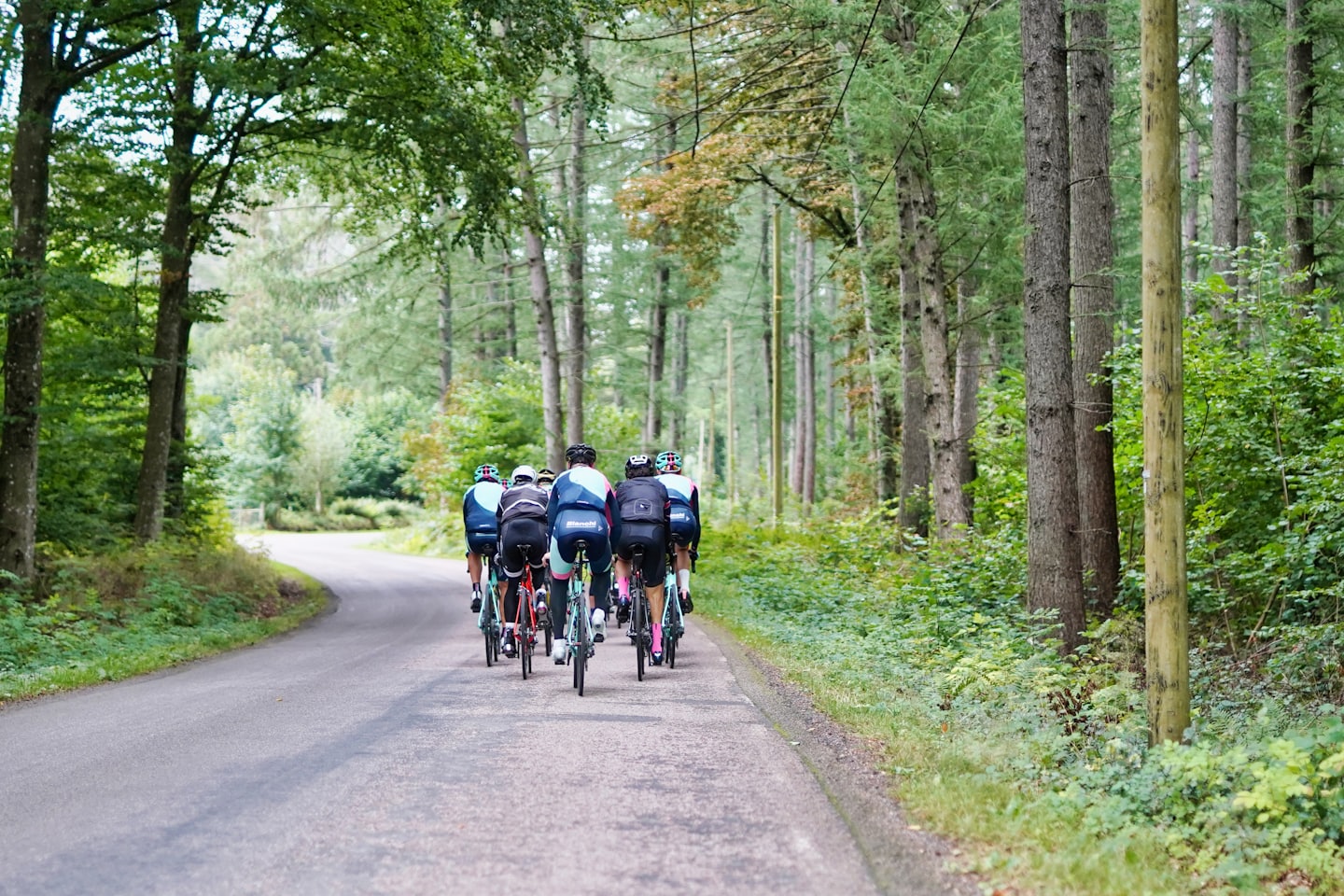 Ciclisti percorrono una strada tortuosa attraverso un bosco.