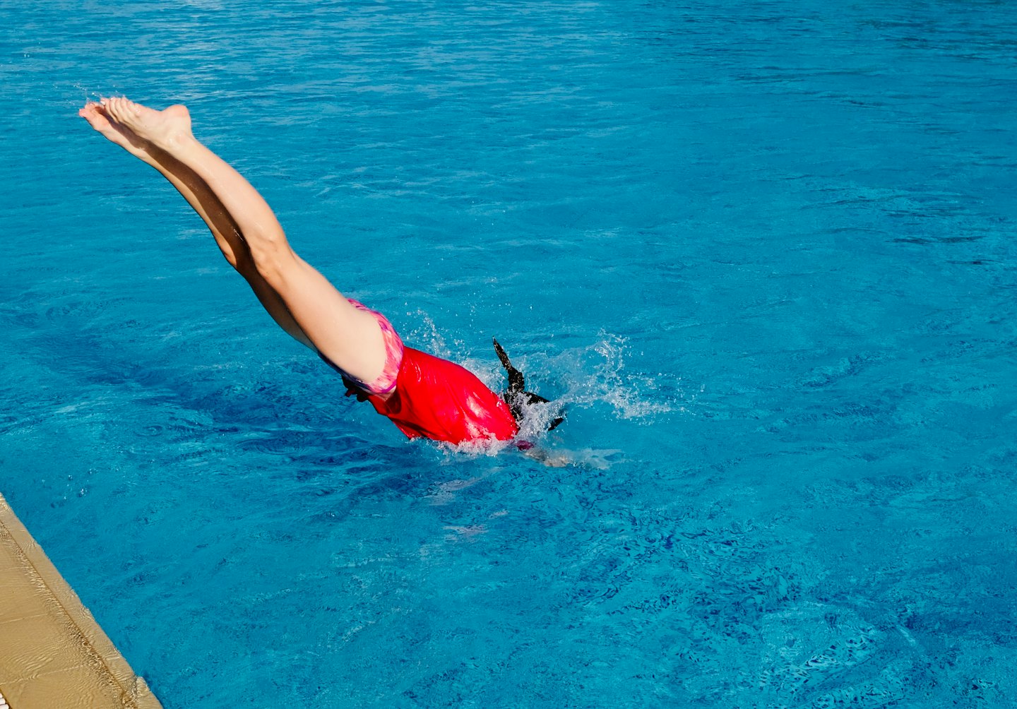 Persona in costume da bagno rosso si tuffa in piscina.